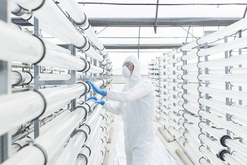 a4f25545dae74202a5af0c6bba2a0a5e